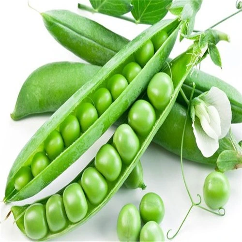 Factory Sale Halal Certificate Pea Starch /Bright Starch Vegetable for Noodles, Cakes, Fried Meat