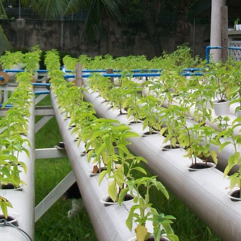 Plantador hidropônico Inteligente Hidroponia Interior sistema de cultivo para vegetais frondosos Com canal NFT