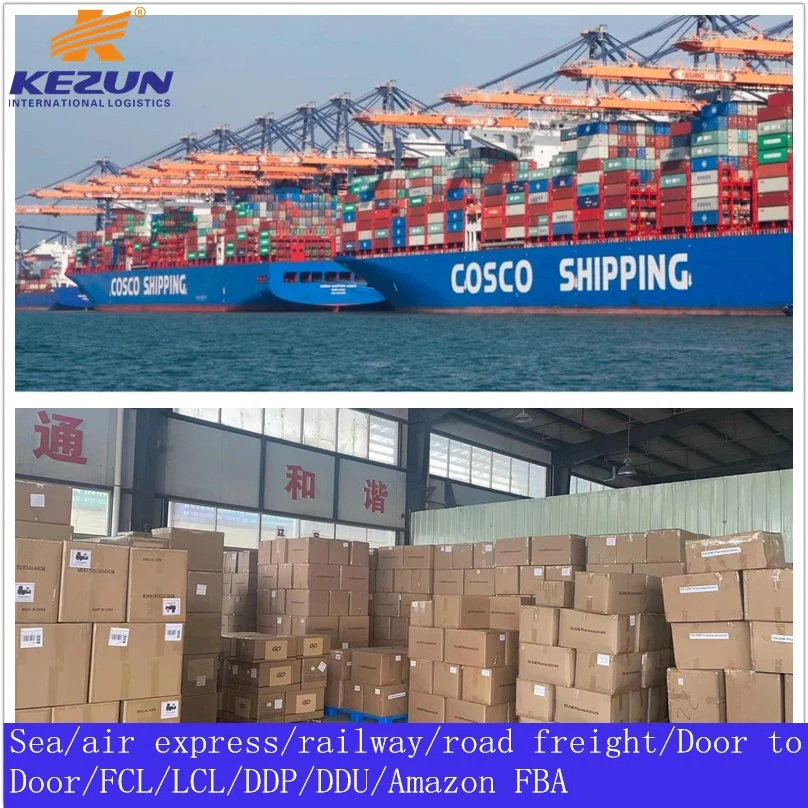 FCL LCL Cargo Ship Price Logistics Forwarder Sea Freight Agent From China to United Arab Emirates with Customs Clearance/Duty/Tax Top Shipping Company