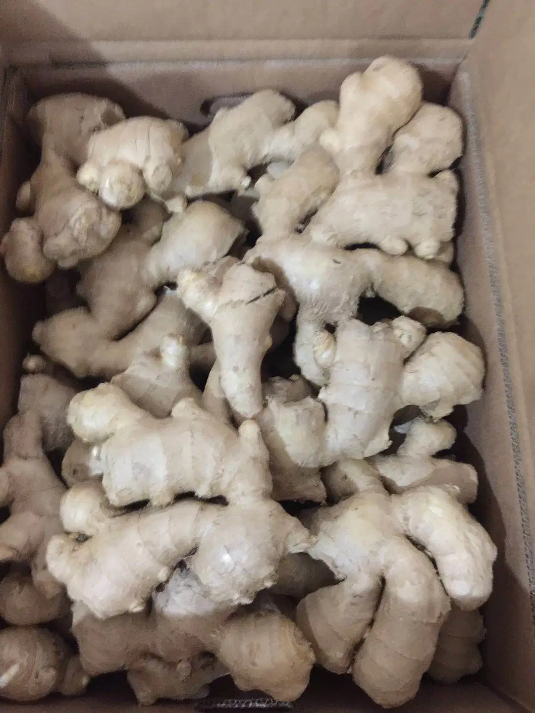 Air Dried Ginger with PVC Carton