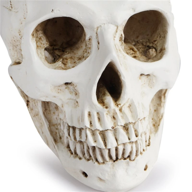 Custom Resin Spooky Human Skull Halloween Gifts & Crafts