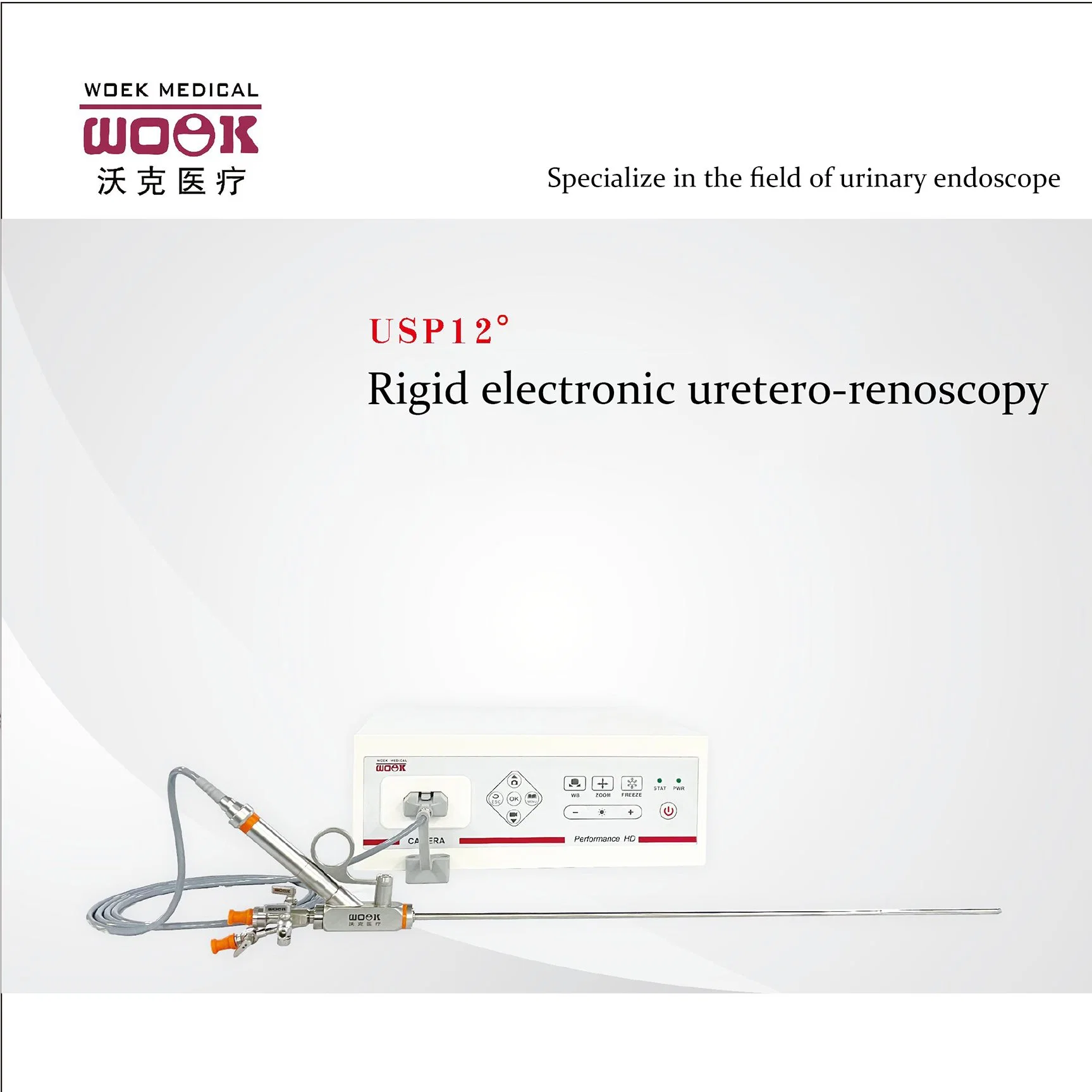 Uréteroscope numérique rigide à endoscope électronique pour la vésicule séminale.