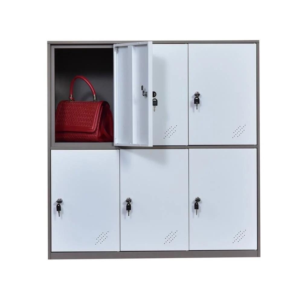 Cartons New Webber ISO9001: 2000, ISO14001: 2004 Coin Locker Wardrobe