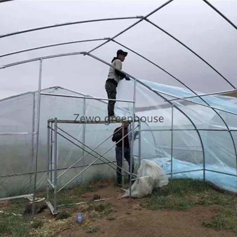 El cultivo hidropónico Nft Vertical Sistema de crecimiento de la agricultura de verduras de hoja verde// Lettuceand Apio Flores