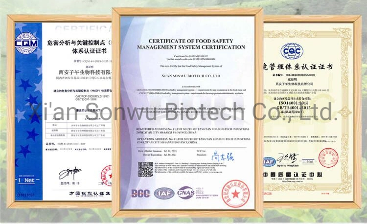 Sonwu Supply Pyrroloquinoline Quinone Coenzyme PQQ Powder