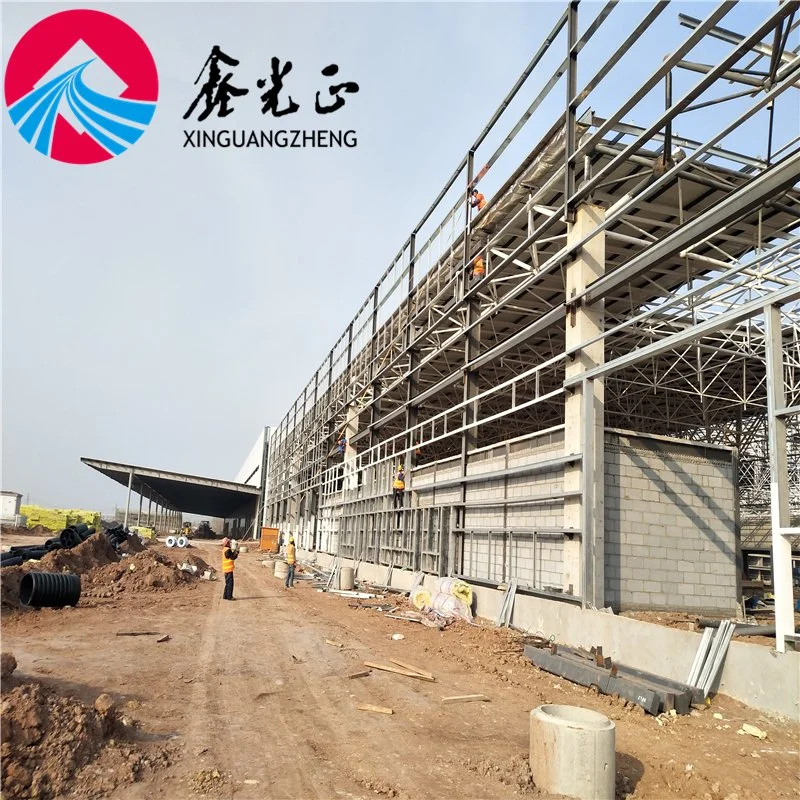 Beautiful Architectural Industrial Factory Steel Structure for Sale