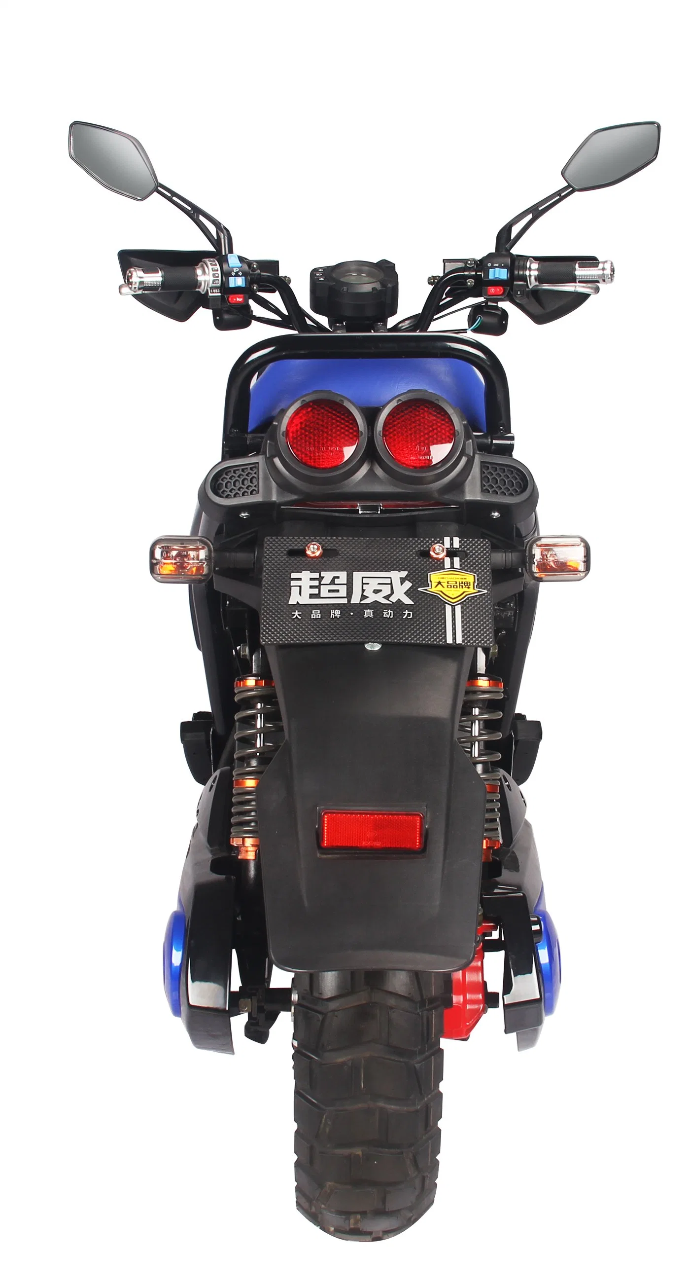 1000W leistungsstarke Erwachsene Elektro-Motorrad Fahrrad / Elektro-Scooter / Elektro-Motorrad-Scooter (BWS)