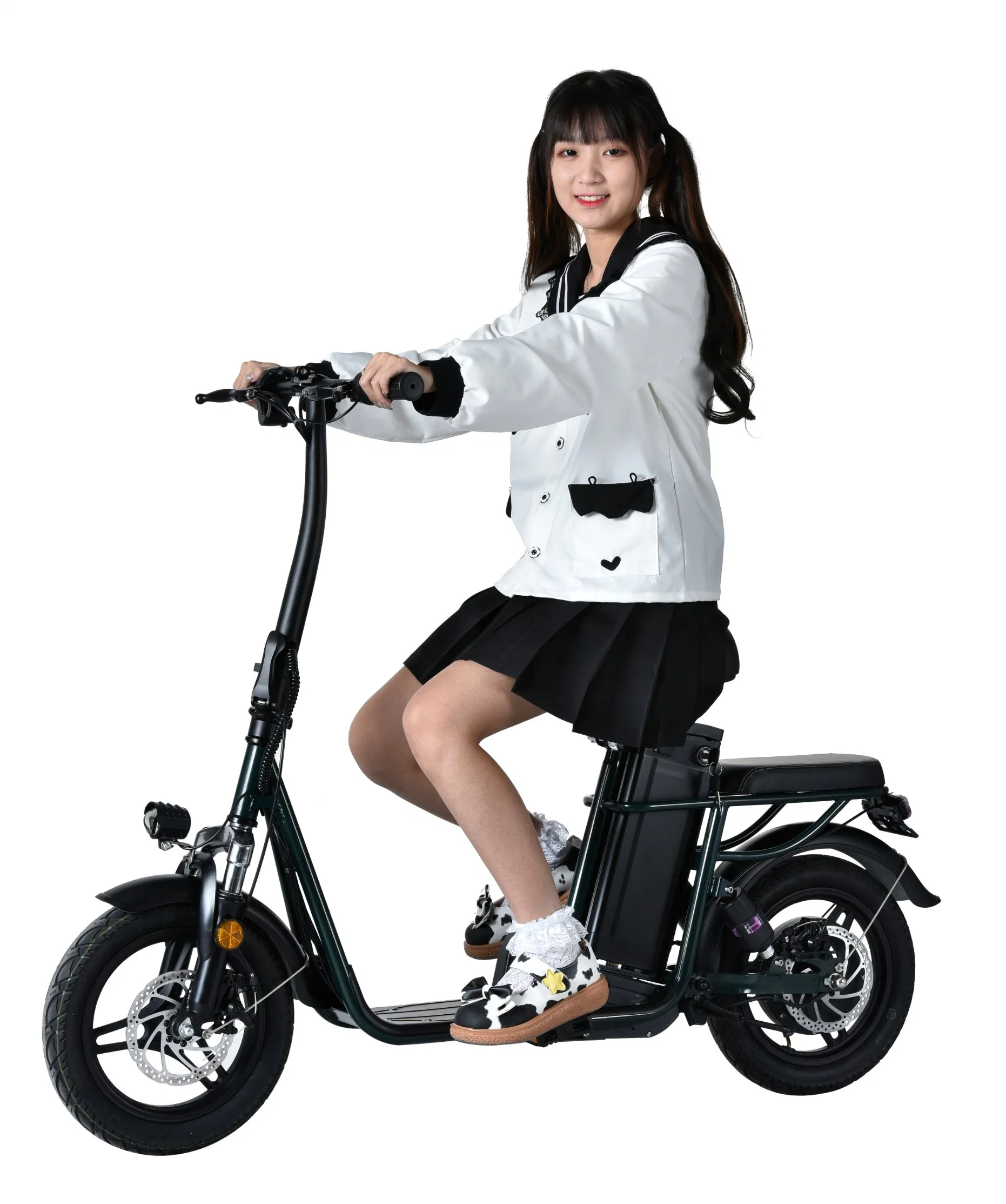 12 Inch Foldable 2021 New Design Best Electric Bicycle Ebike Mini Folding E-Bike with 36V 10A