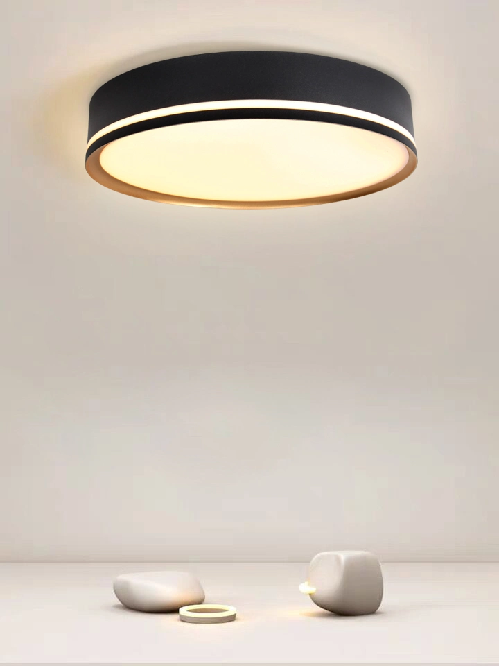 إضاءة ماسيفيل LED داخلية حديثة السقف ضوء حديث LED حديث الطراز إضاءة منزلية