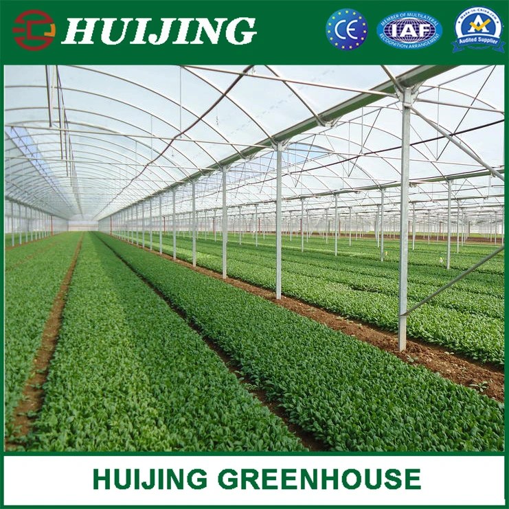 Hydroponics Multi-Span Plastic Po/PE Film Greenhouse for Vegetable Tomato Cucumber Garden Products