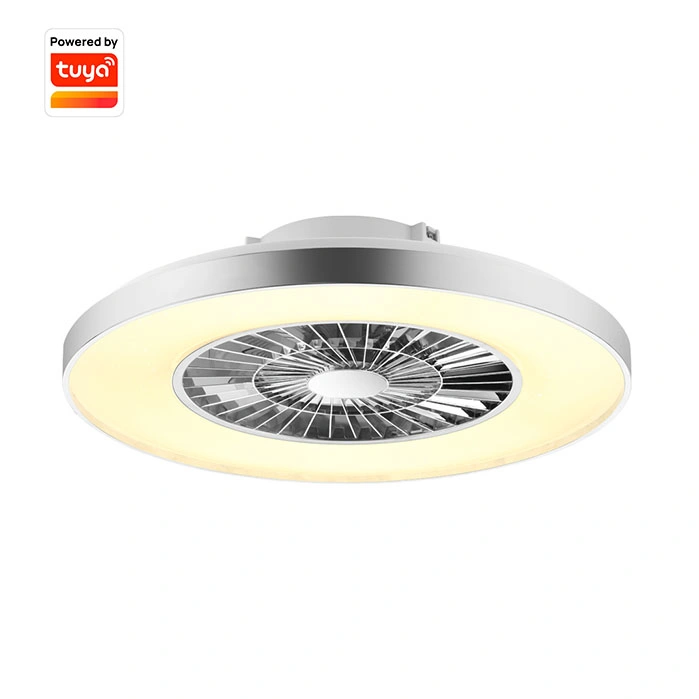 Home Appliances Modern Loft Style Tuya Ceiling Fan Decorative Electric Household Domestic LED Ceiling Fans with Light