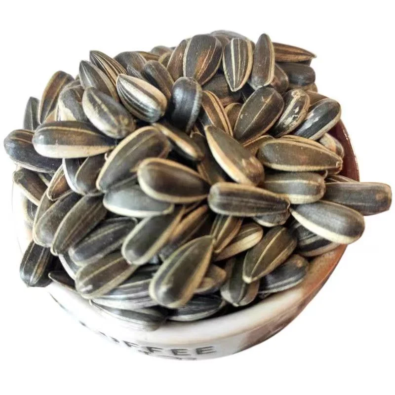 Export Good Quality Chinese Sunflower Seeds Manufacture