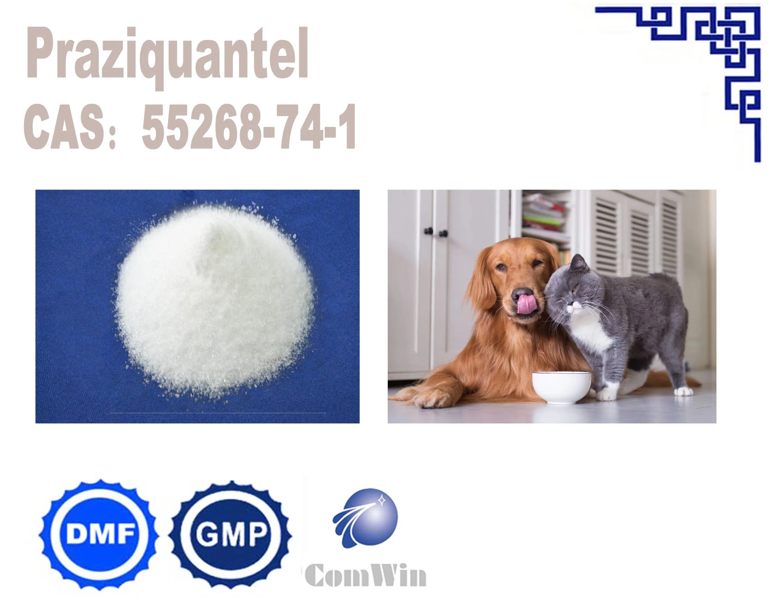 Effective Deworming with Praziquantel for Improve Animal Health