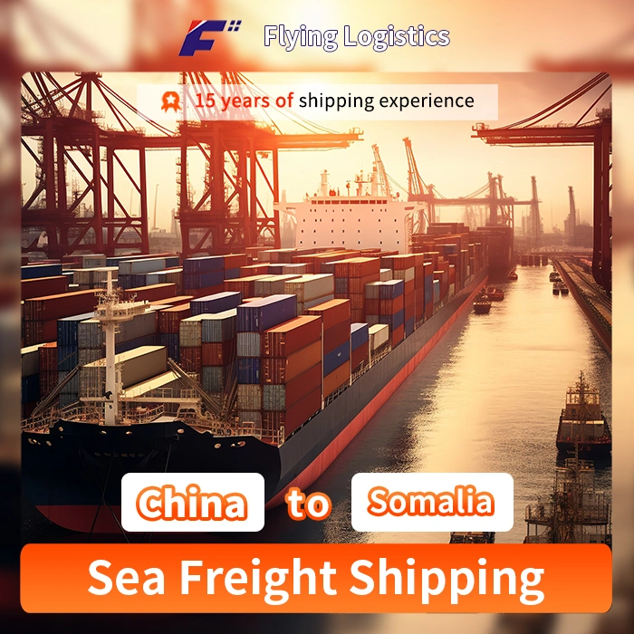 Shipping Service to Somalia Container Sea Freight Forwarder From China to Somalia Sea Shipping