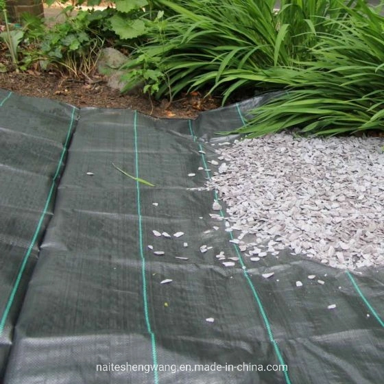 4X50m Custom UV Resistant Polypropylene Ground Cover Fabric