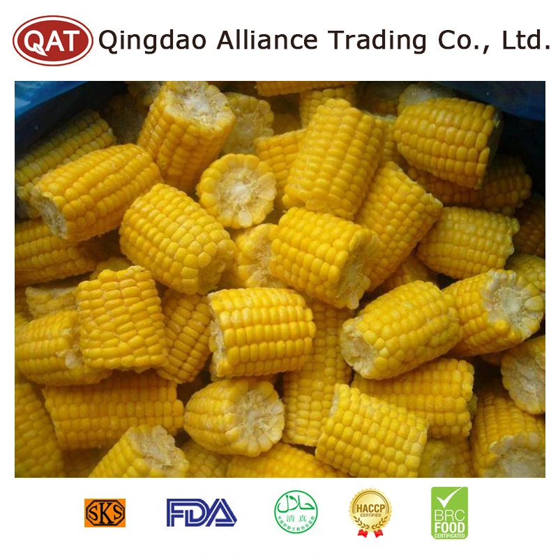 2022 New Crop IQF Frozen Super Sweet COB Corn with High quality/High cost performance 