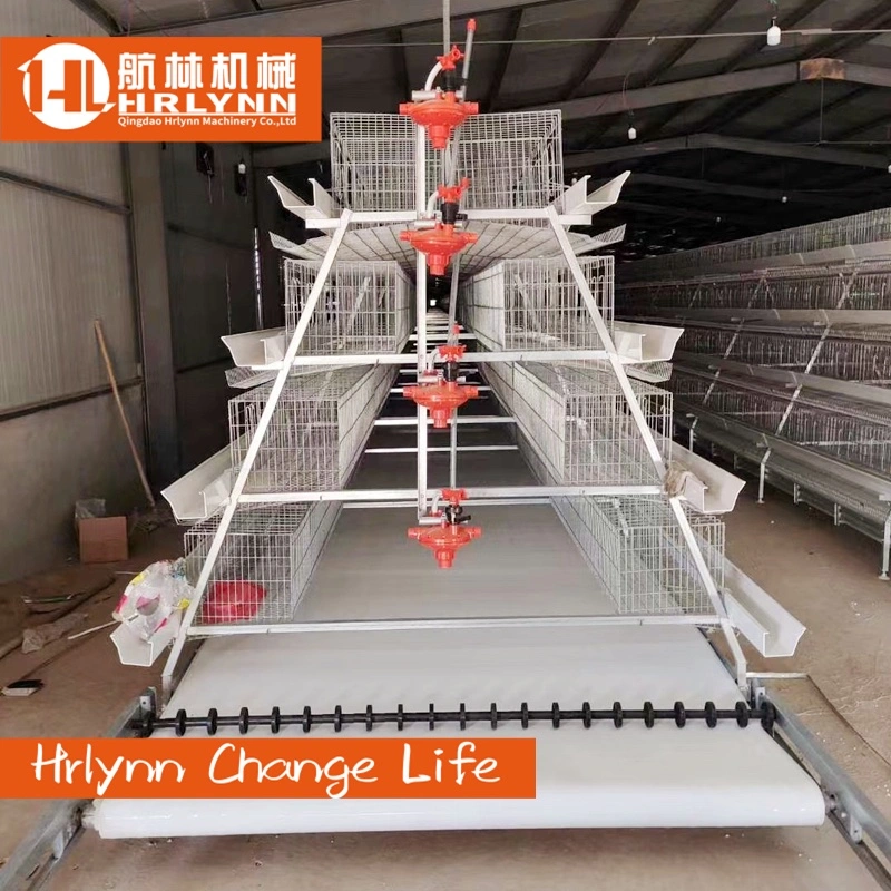 Farmen in Sambia Layer Cages 4 Tiers Battery Layer Cage Für Chicken House