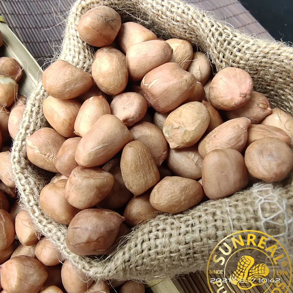 Raw Peanut Kernels Virginia 28/30 China/Reasonable Price/Premium Quality