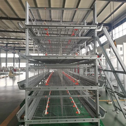 Hochwertige Geflügelzüchtgeräte Layer Chicken Cage mit Automatik System