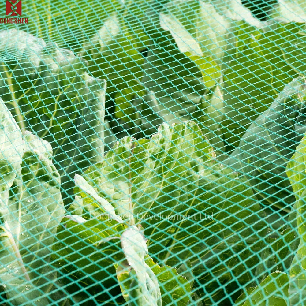 Heavy Duty HDPE UV Stabilised Knitted Poultry Plant Bird Netting Aviary Fruit Garden Protection Net