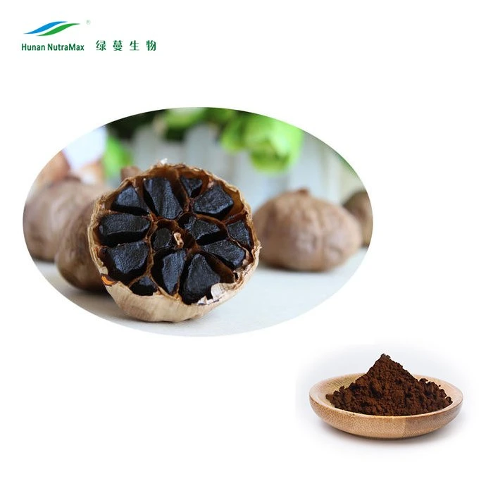 Factory Supply 4: 1~20: 1 Fermented Black Garlic Seed Extract Powder