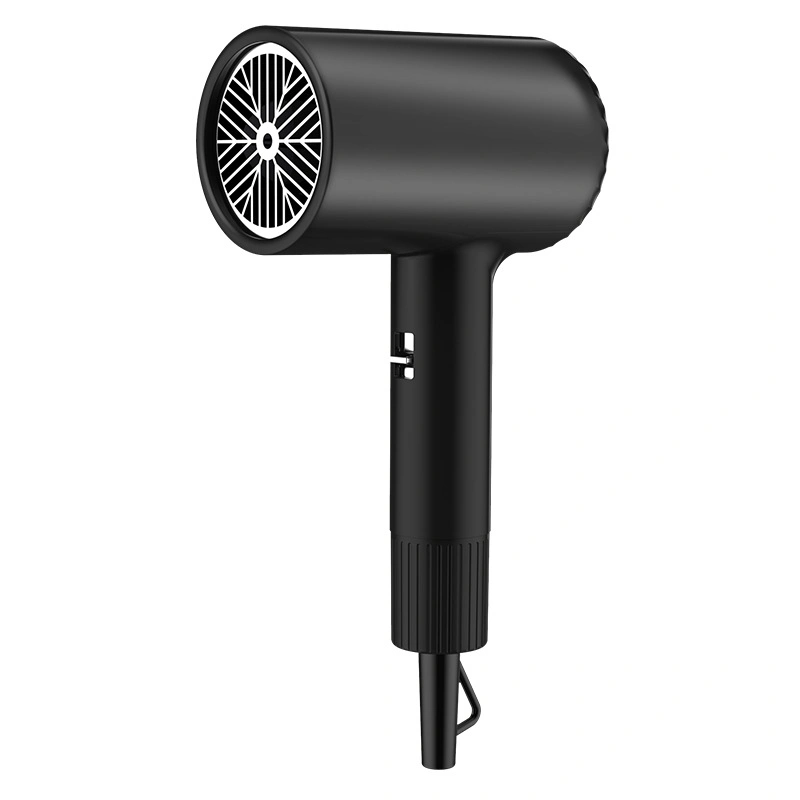 2024 Professional Handheld 1200W High Speed 100000rpm Ionic Hair Dryer Home Salon Hair Care