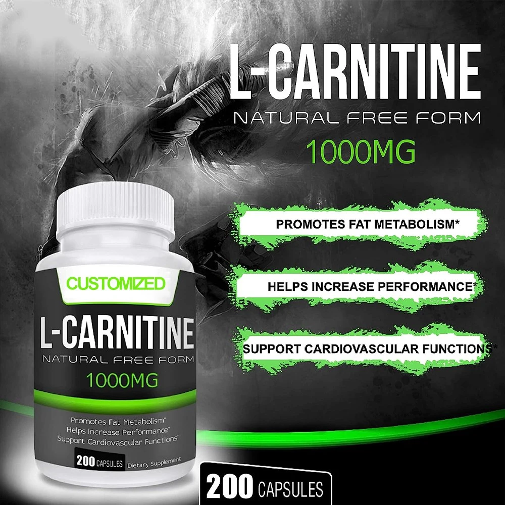 La construcción de músculo OEM &amp; Fat Burner Vegan acetil-L Carnitina cápsulas