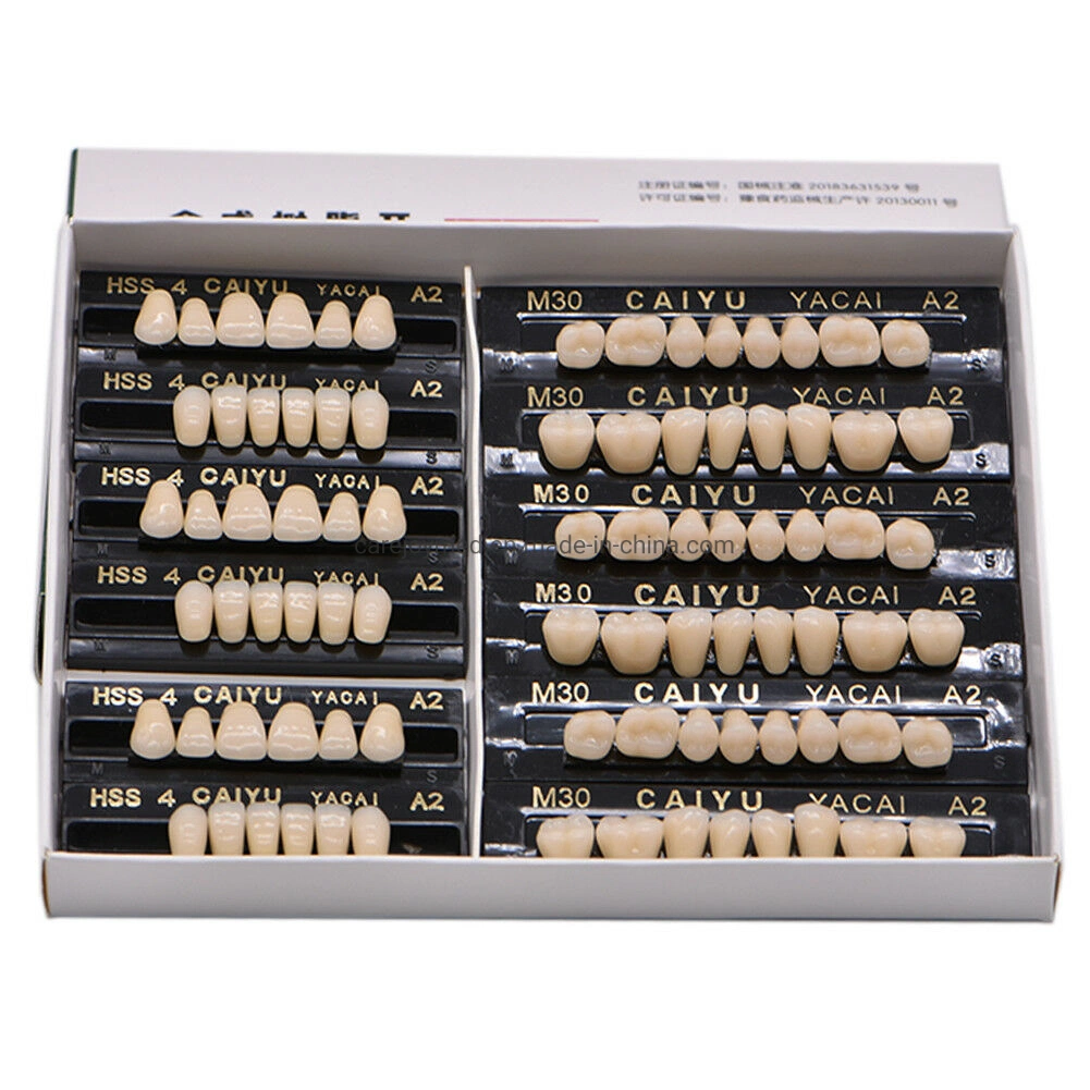 Factory Advanced Type Dental Artificial Denture Acrylic Resin Teeth Set