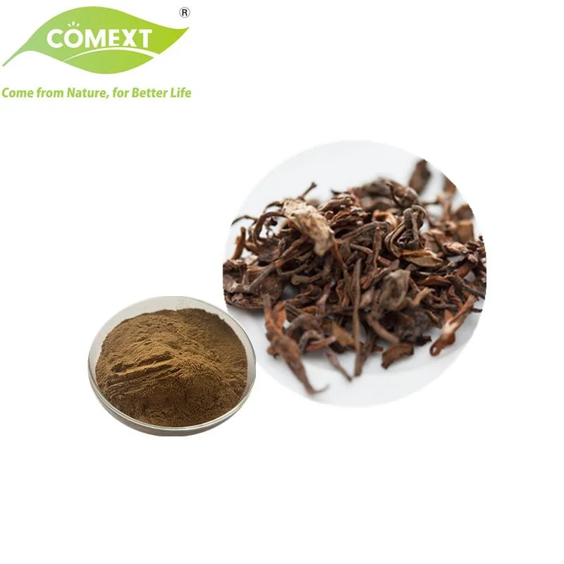 Comext Food Grade Factory Direct 20%~95% شاي البوليفينول بالشاي استخراج مسحوق الغذاء الصحي