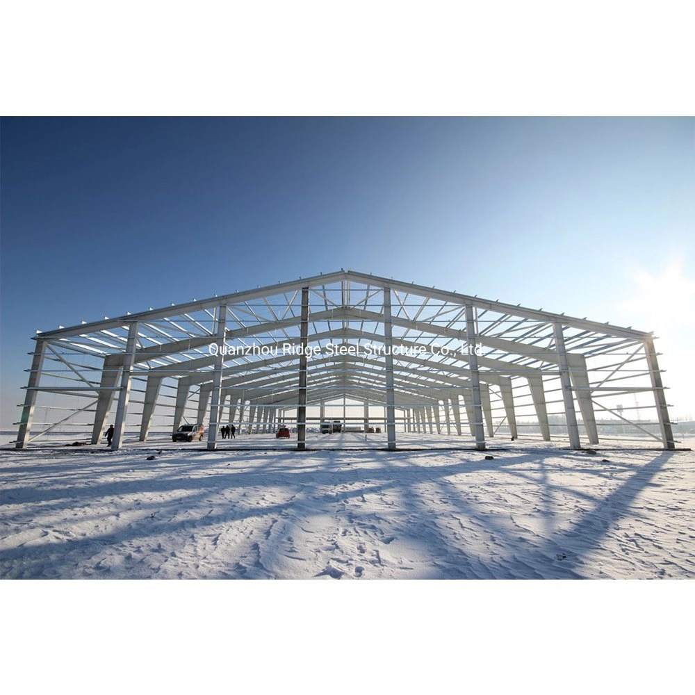 High Strength Sloping Roof Low Cost Industrial Shed Galvanized Steel Structure Frame for Warehouse Self Storage Steel Building