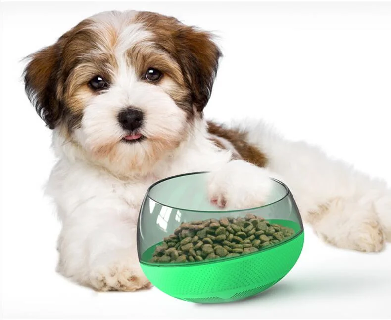 Pet Slow Feeder Non-Spill Feed Anti-Overturning Dogs Bowl