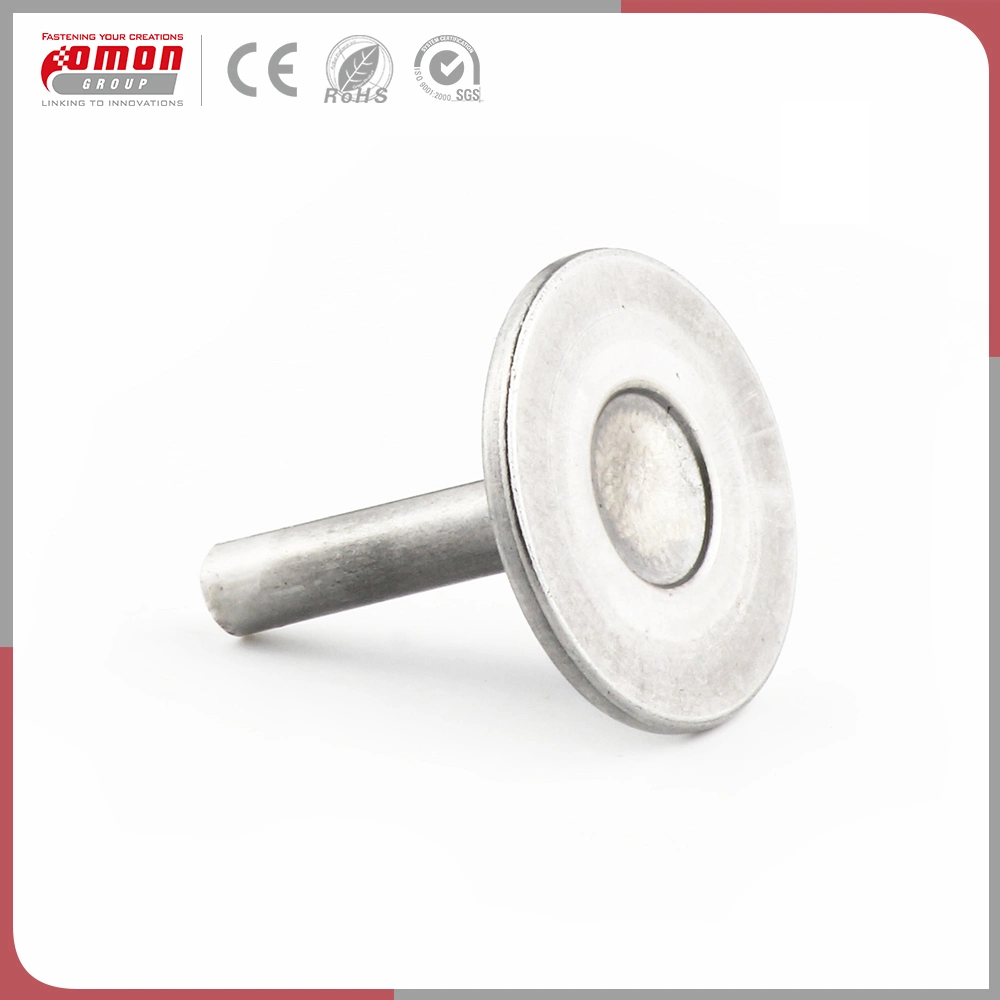 Customized Screw Stud Stainless Steel Brass Bolt for Building