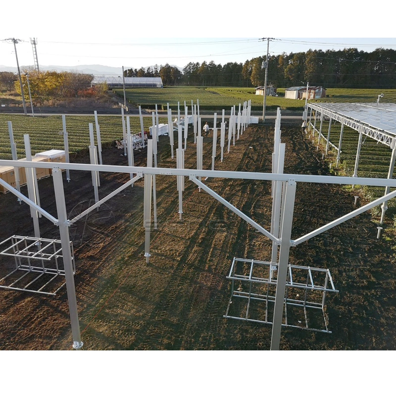 Chinesischer Hersteller Solar Greenhouse Montage Struktur Photovoltaik Landwirtschaft Mount System