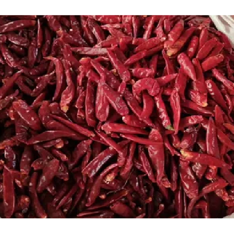 Garantía de calidad Chili rojo seco Capsicum frutescens