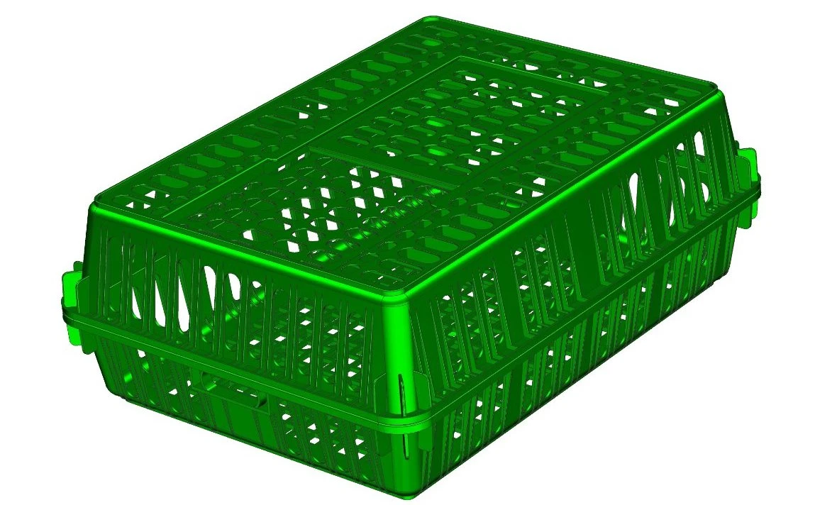 Molde de plantilla de caja de pollo de inyección plástica