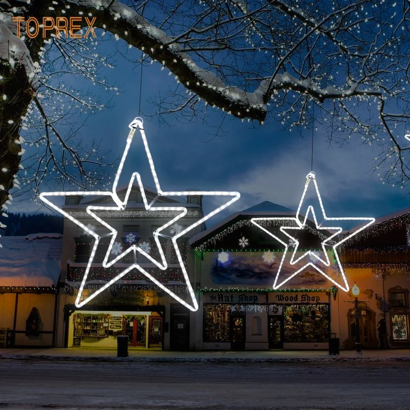 Wholesale/Supplier King Large Giant Outdoor Metal LED Lighted Decoration Christmas Star