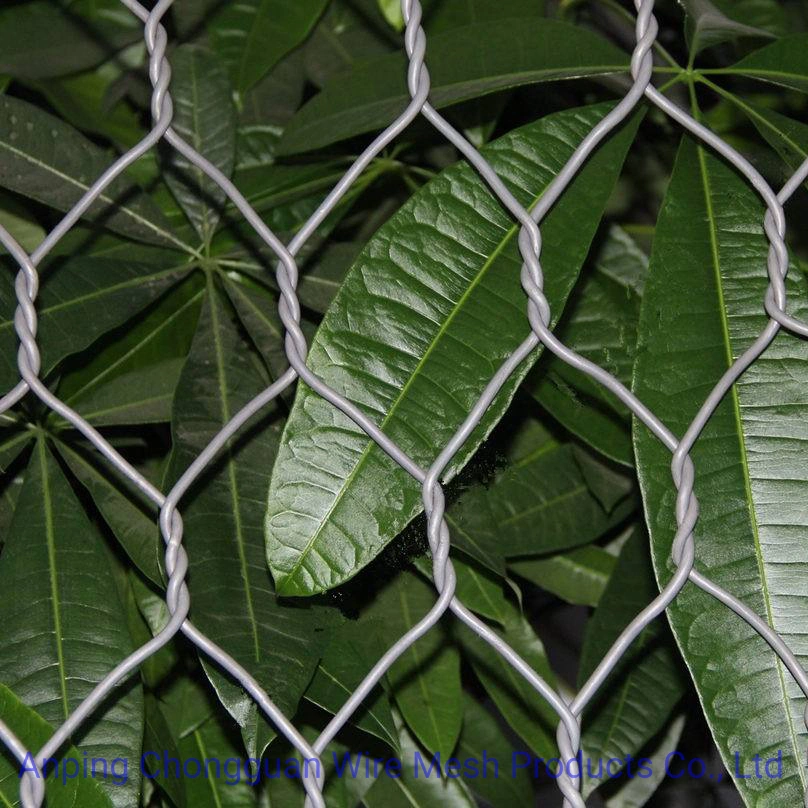 Boîte de Gabion hexagonale Gabion mur de retenue protection de la rive de la rivière Gabion