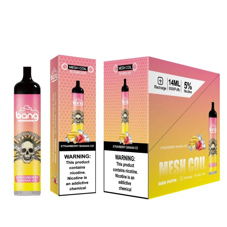 USA Amérique Hot Sell Bang 5000 bouffées 5% nicotine de gros Cigarette électronique rechargeable