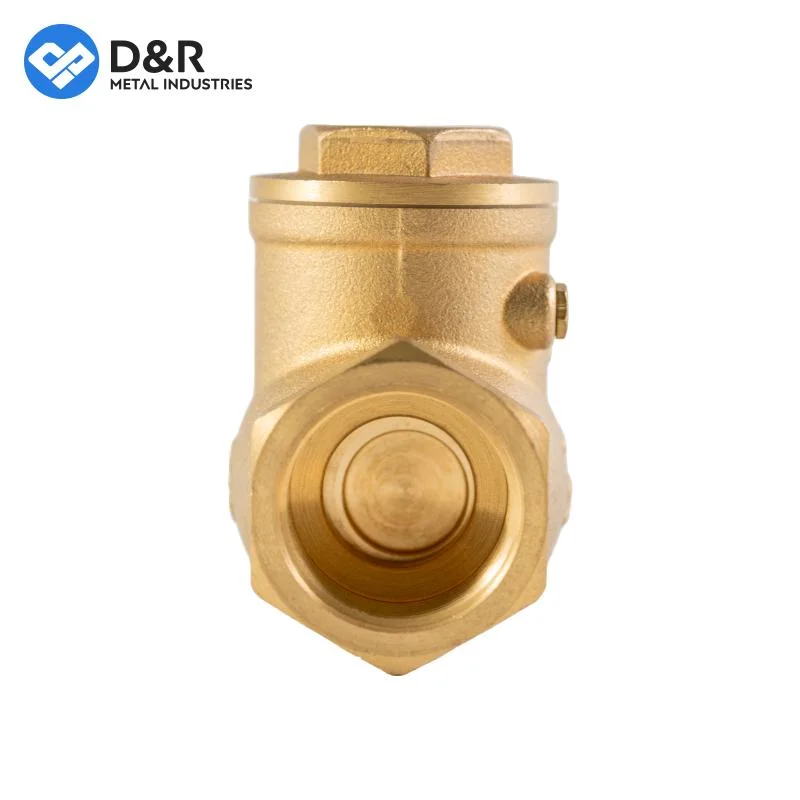 High quality/High cost performance Forged Brass DN20 Check Valve OEM Female Thread Control Water Non Return Valve