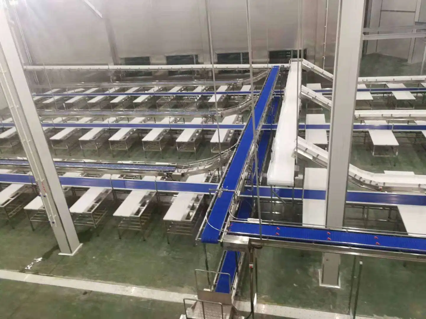 Meat Cutting Process Conveyor Belt Packing Line