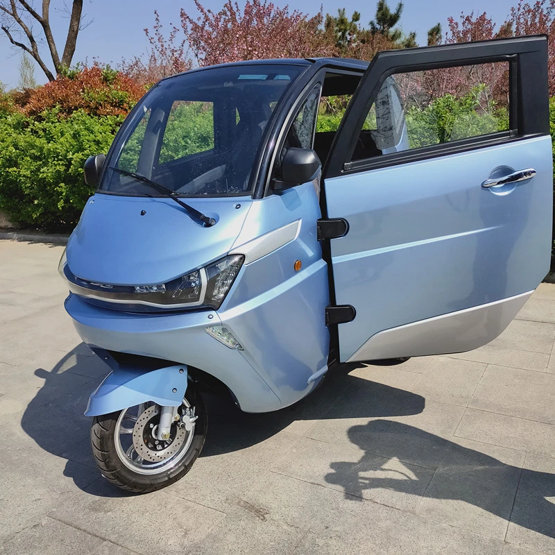 Chinese EEC 1000W Electric Runhorse Golf Trike for Old Person