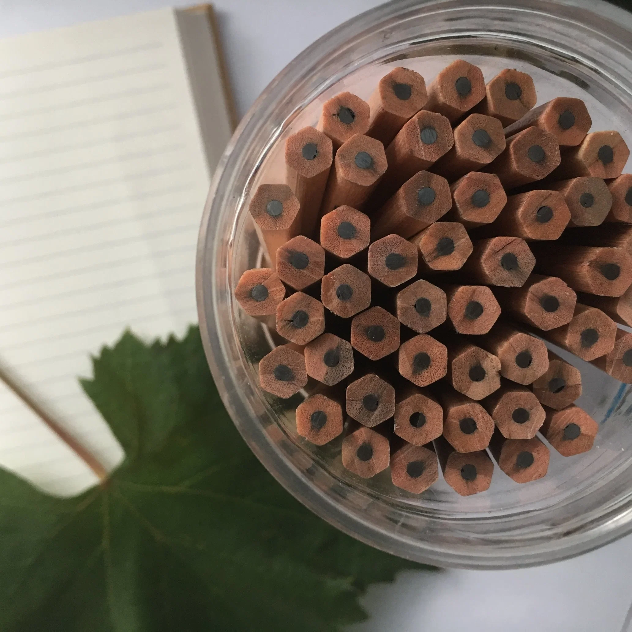 Trigonometric and Hexagonal Pencil Wood Colored Pencil