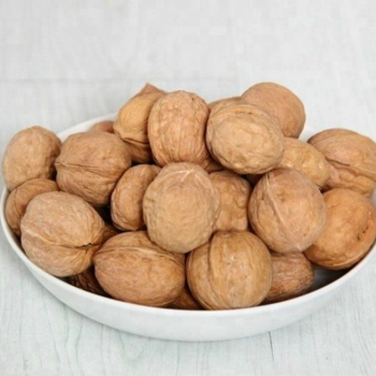 Wholesale/Supplier New Crop Walnut Raw Walnut with High quality/High cost performance 