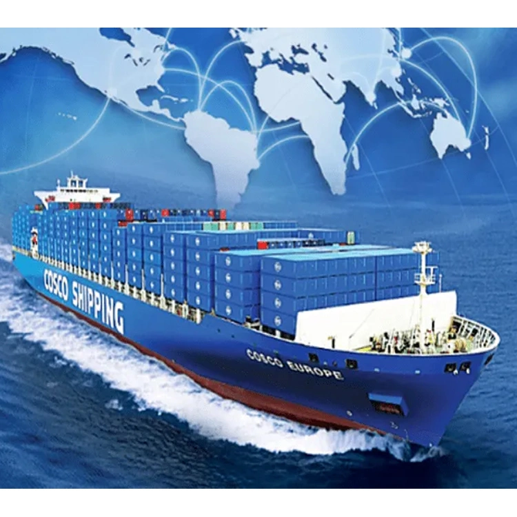 Sea Shipping FBA Agent Shipping Service из Канады в США