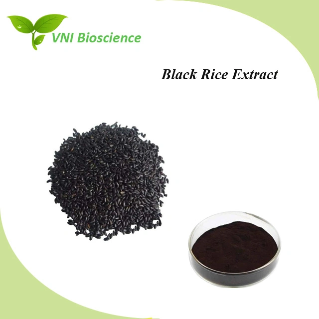 Kosher and Halal Certified Anthocyanin Powder Black Rice Extract