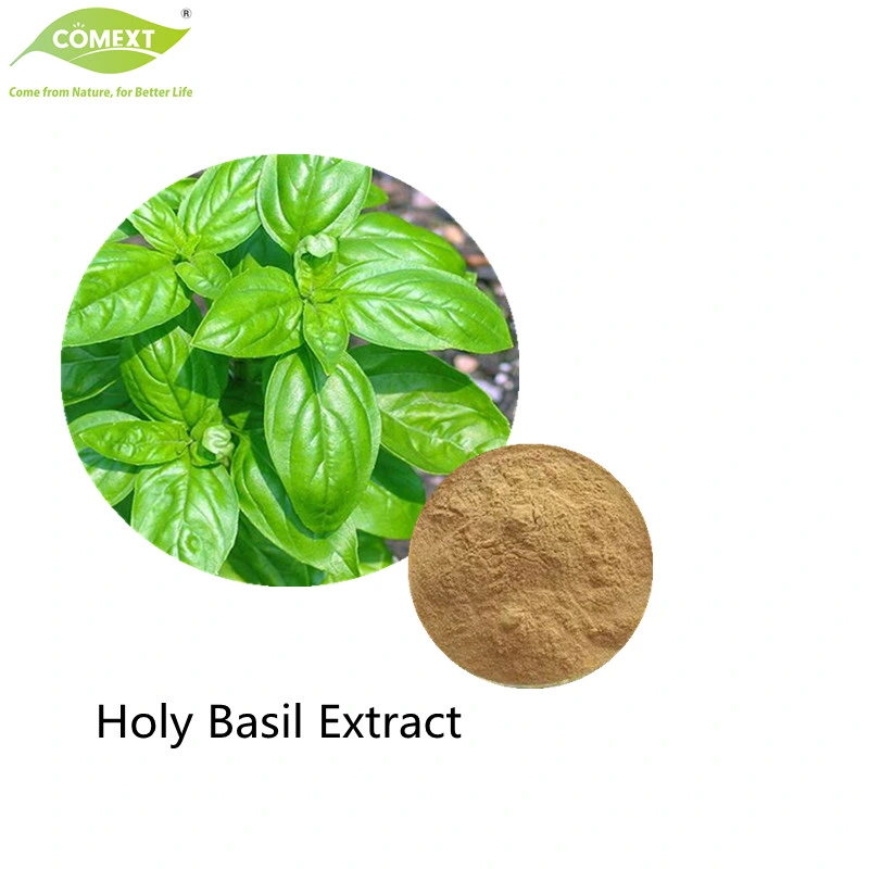 COMEXT Factory 100% Natural Basil Root Extract 4: 1; 10: 1; 20: 1 10% танины для применения в медицине