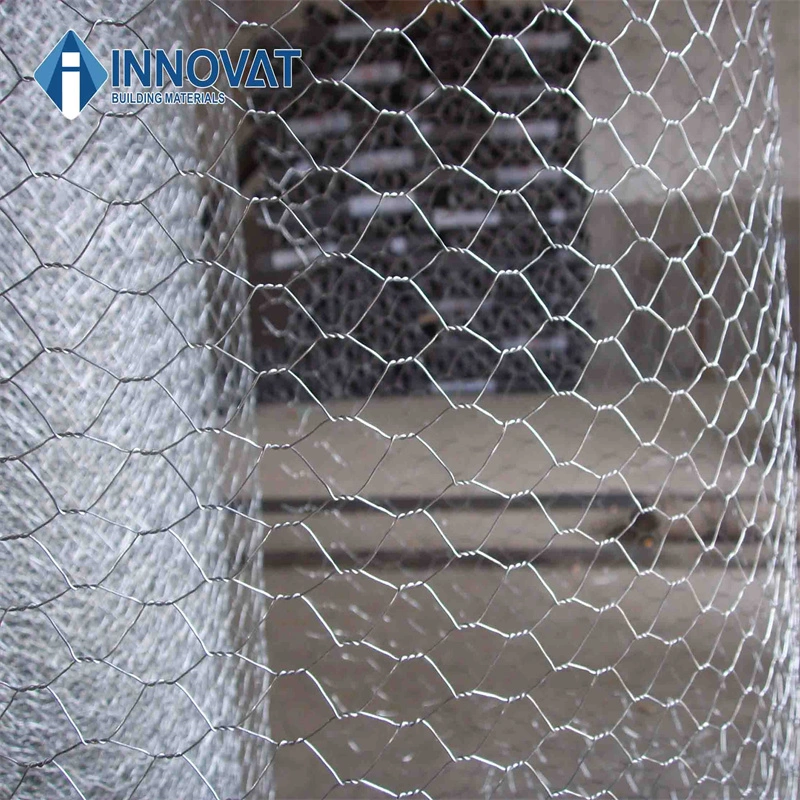 Hexagonal Wire Mesh /Galvanized Chicken Wire Mesh/Vinyl Chicken Mesh/