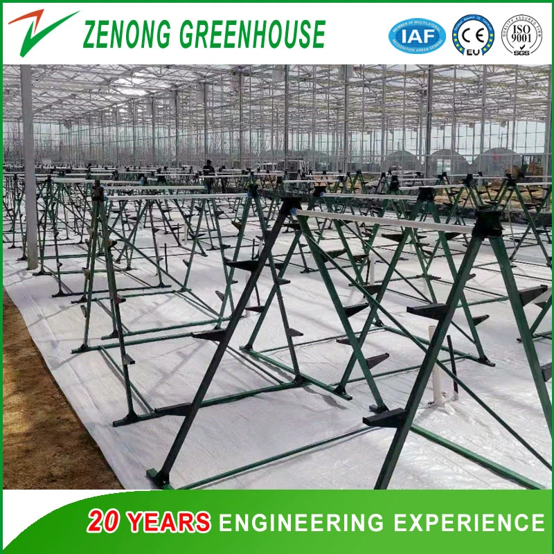 Easy Installation and Transportation a-Style Frame with PP/PVC Channels for Greenhouse Vertical Farming