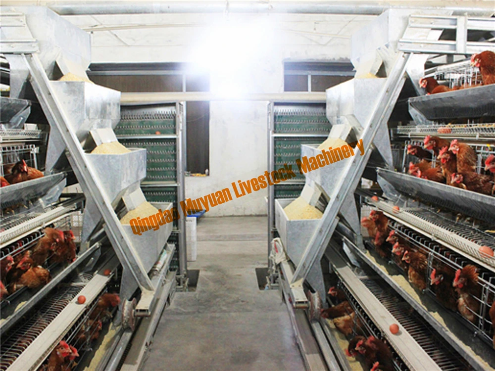 a Type Ladder Chicken Layer Livestock Machinery for Africa Poultry Farms