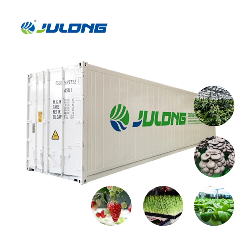 High Yield China Manufacturer Used Mushroom Grow Room Container Greenhouse with Hydroponics System